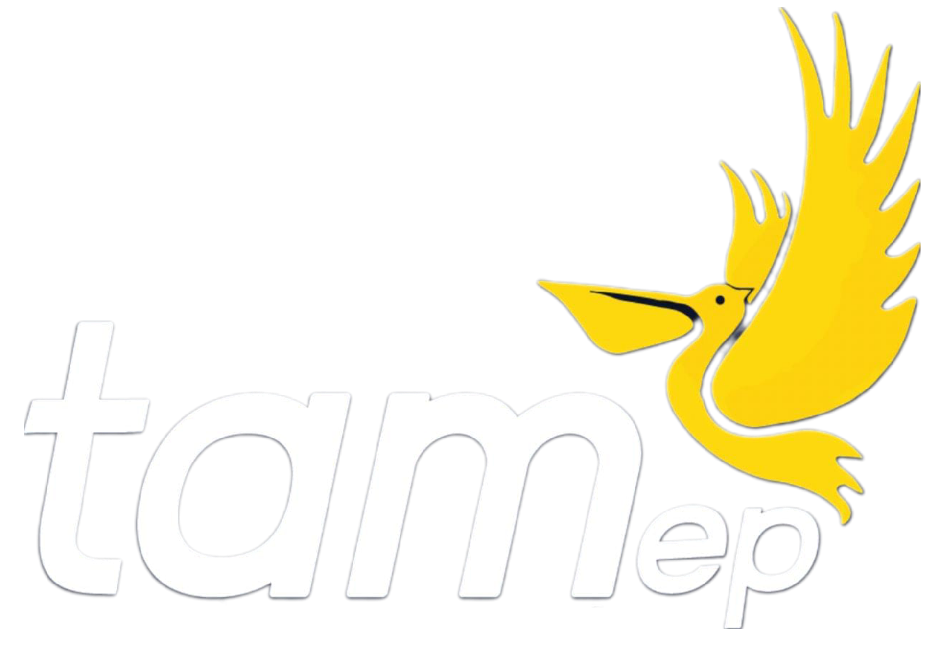 TAMep Logo